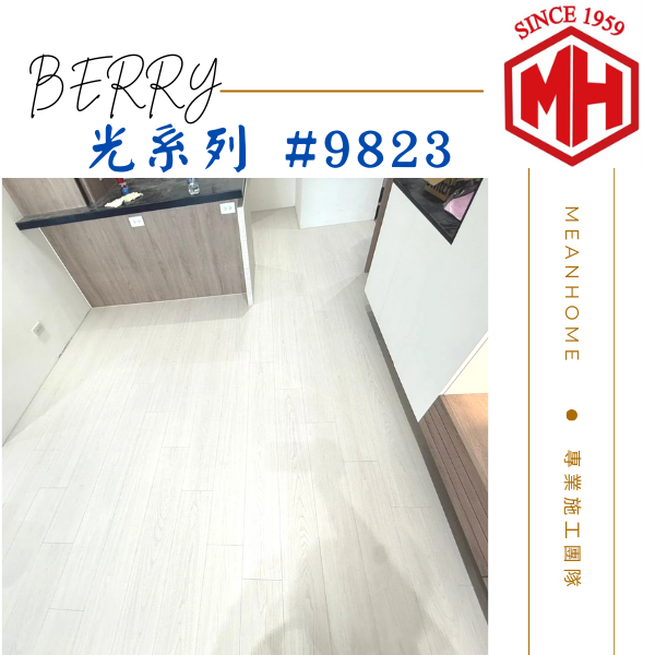 BERRY超耐磨木地板 光系列#9823